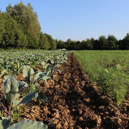 Agriturismo Corte Bertesina Vicenza Kültér fotó
